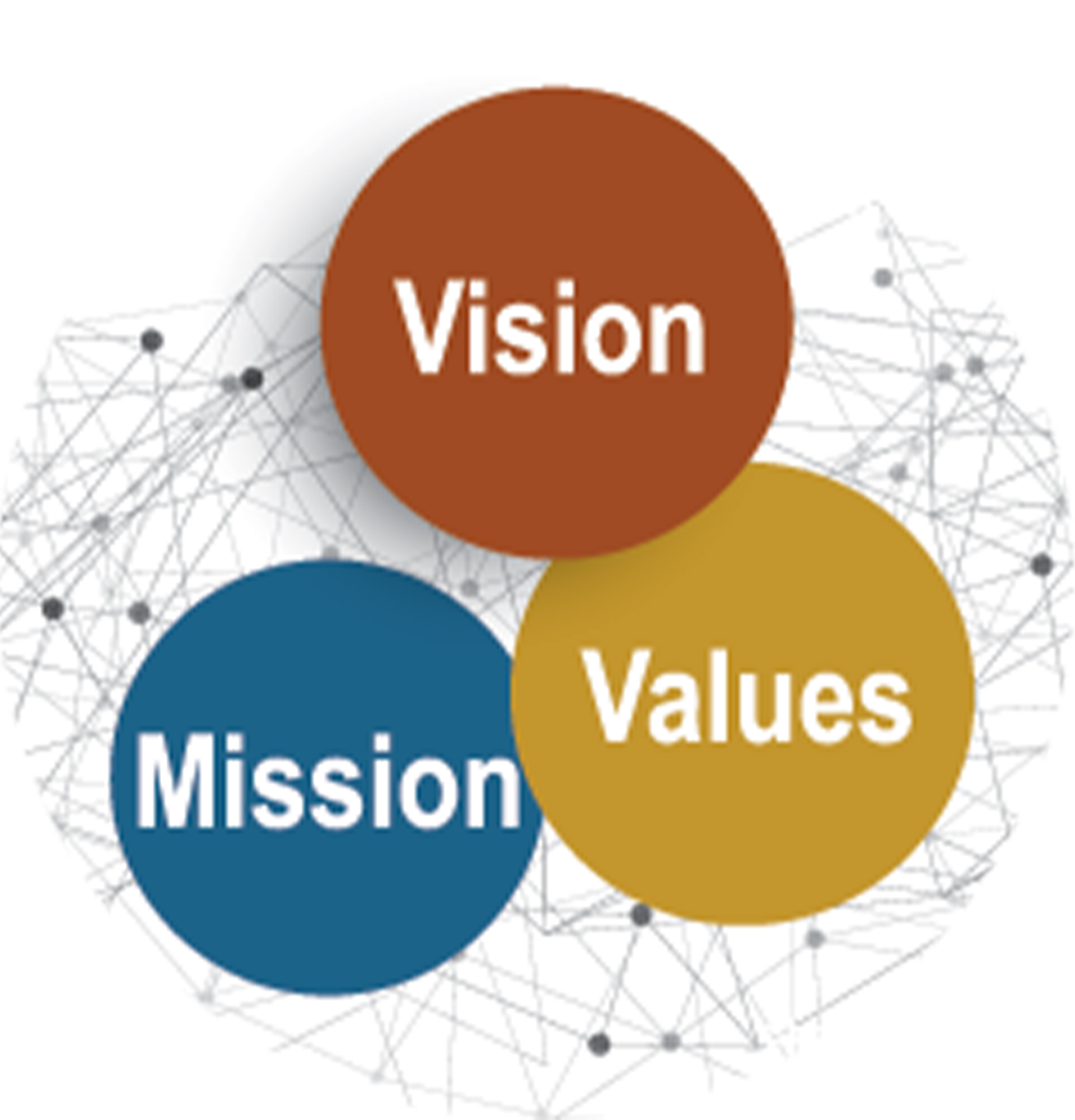 Mission / Vission / Values 